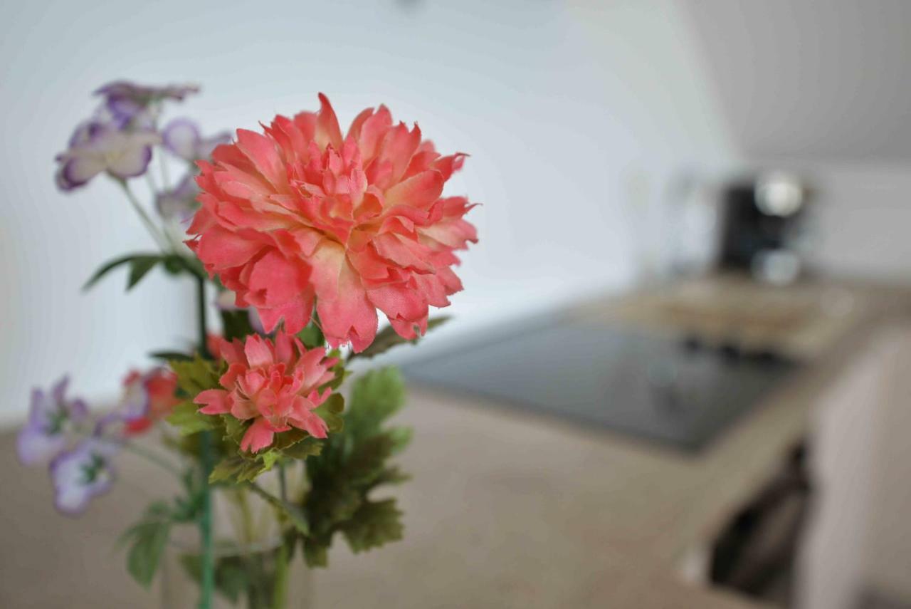 Apartmani Mikin Betina  Eksteriør billede